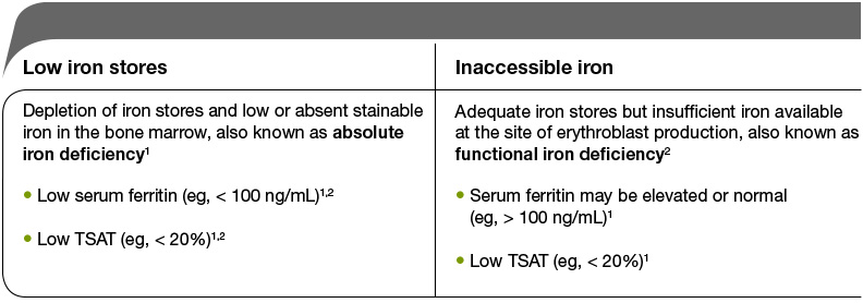 Low iron stores: Depletion of iron stores and low or absent stainable iron in the bone marrow, also known as absolute iron deficiency • Low serum ferritin (eg, < 100 ng/mL) • Low TSAT (eg, < 20%) Inaccessible iron: Adequate iron stores but insufficient iron available at the site of erythroblast production, also known as functional iron deficiency2 • Serum ferritin may be elevated or normal (eg, > 100 ng/mL)1 • Low TSAT (eg, < 20%)1