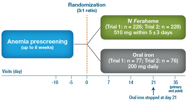 Pivotal trials design: ferumoxytol vs oral iron