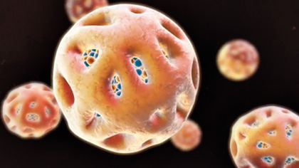 The PSC coating of Feraheme is designed to help minimize the release of free iron by isolating the bioactive iron core from plasma components until the iron-PSC complex enters the reticuloendothelial system (RES) macrophages.