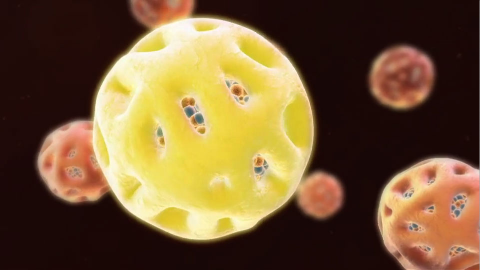 The PSC coating of Feraheme is designed to help minimize the release of free iron by isolating the bioactive iron core from plasma components until the iron-PSC complex enters the reticuloendothelial system (RES) macrophages.