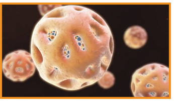Proprietary polyglucose sorbitol carboxymethylether (PSC) coating engineered for targeted IV iron delivery. The PSC coating of Feraheme® (ferumoxytol) Injection is designed to help minimize the release of free iron by helping to isolate the bioactive iron core from plasma components until the iron-PSC complex enters the RES macrophages.