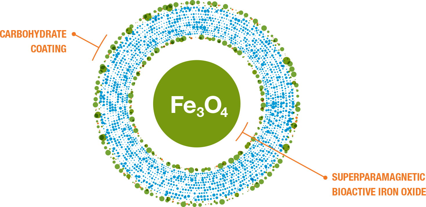Feraheme molecule: superparamagnetic bioactive iron oxide covered by a carbohydrate coating