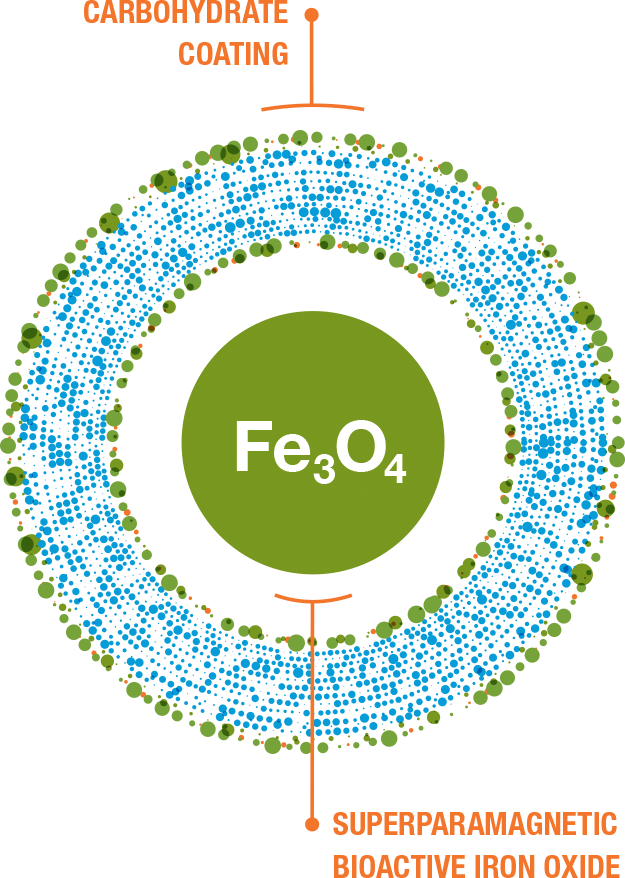 Feraheme molecule: superparamagnetic bioactive iron oxide covered by a carbohydrate coating